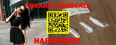 индика Славгород
