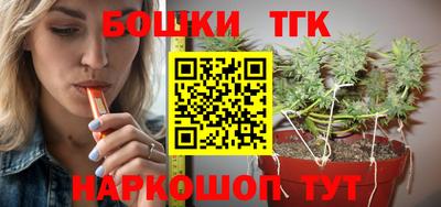 индика Славгород