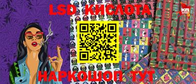 индика Славгород