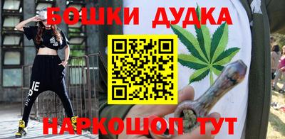 индика Славгород