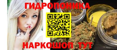 индика Славгород