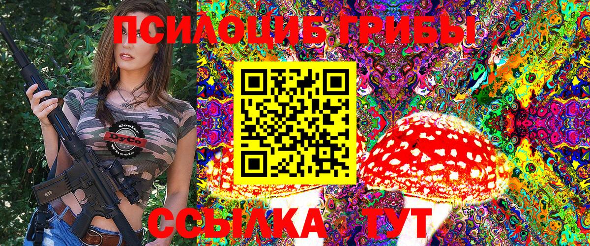 Псилоцибиновые грибы Psilocybine cubensis Павлово