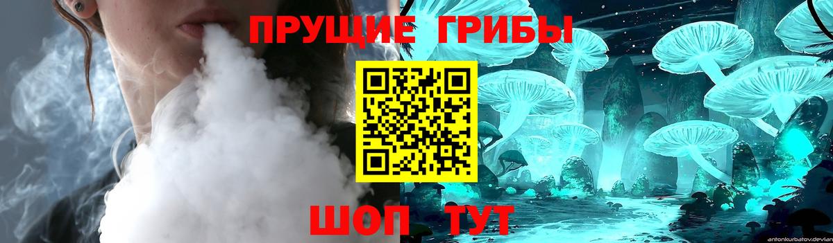 Павлово  наркотики  Вход с VPN  Псилоцибиновые грибы прущие грибы  Галлюциногенные грибы Psilocybine cubensis 